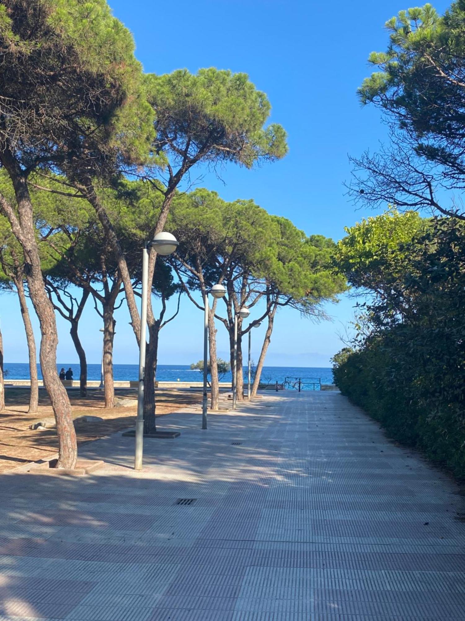 Apartamento Marina Playa, Primera Linea De Mar ブラナス エクステリア 写真